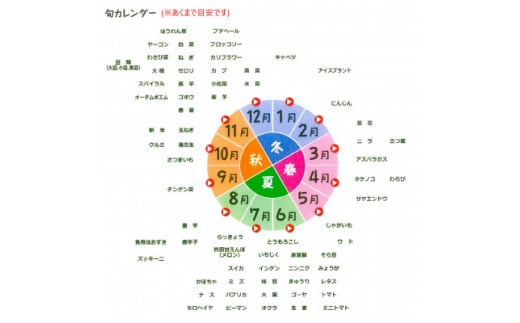 ＜数量限定＞大潟村産おまかせ野菜セット＜5～10品目＞【1525600】 1496685 - 秋田県大潟村