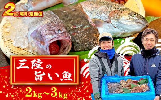 「下処理なし」【定期便/隔月全2回】【産地直送】三陸の旨い魚！季節の鮮魚便 2kg～3kg  1294308 - 岩手県大船渡市