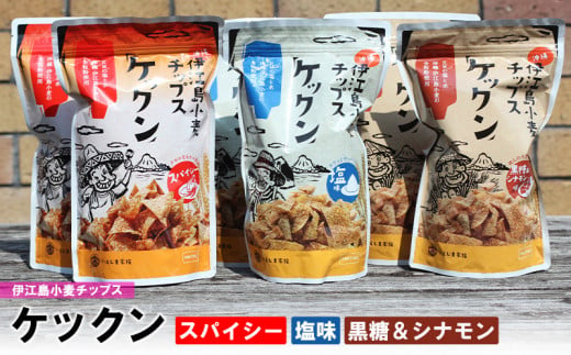 伊江島産全粒粉を使った　伊江島小麦チップス「ケックン」バラエティセット EM 独特な風味 軽い食感 ご当地 おやつ おつまみ お菓子 トルティーヤチップス サルサ お気に入り 美味しい 人気 沖縄 離島 クセになる 国産 お土産 送料無料 産地直送 楽しみ 1495426 - 沖縄県伊江村