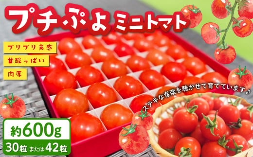 大分県竹田市のふるさと納税 お礼の品ランキング【ふるさとチョイス】