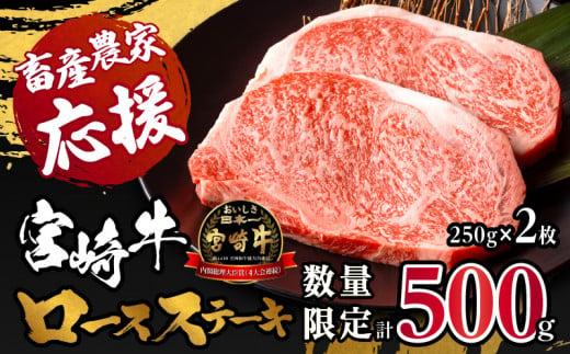 《1月発送》【数量限定】宮崎牛ロースステーキ250g×2 合計500g_M132-014-D-jan 1126261 - 宮崎県宮崎市