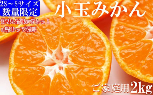 ZJ6095_有田みかん 2kg 訳あり ご家庭用 2S~Sサイズ 小玉みかん