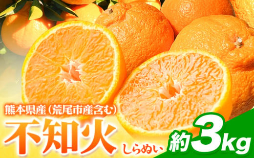 不知火 約3kg フレッシュフーズ 《2月下旬-4月下旬頃出荷》熊本県産 (荒尾市産含む) 柑橘 フルーツ フレッシュフーズ 不知火 果物 デコポン と同品種 送料無料 果物 しらぬい 旬 オレンジ みかん