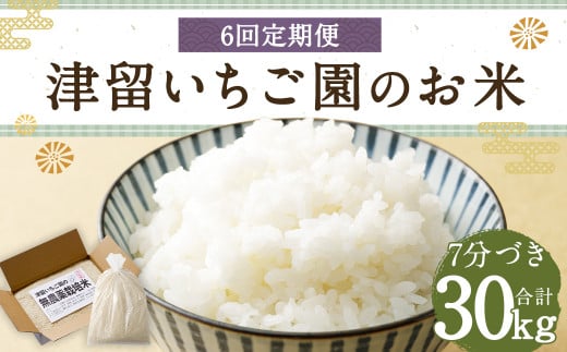 【6回定期便】津留いちご園のお米 7分づき  農薬・化学肥料不使用（栽培期間中） 約5kg×6回 合計約30kg【2024年11月上旬発送開始】 ご飯 定期便 福岡県産 国産 942130 - 福岡県筑後市