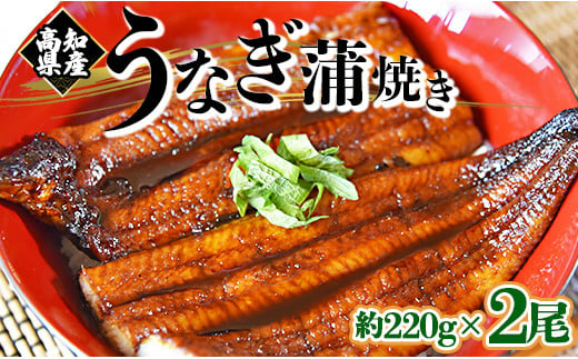 うなぎ蒲焼き 国産 2尾✕約220g 鰻 フジ物産 国産 養殖 かばやき 高知県産鰻 fb-0012