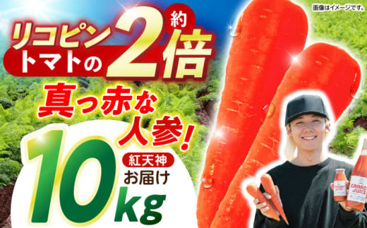 【甘みと栄養たっぷり！】 真っ赤な人参 「紅天神」 10kg / にんじん ニンジン 人参 やさい 野菜 / 諫早市 / 滝商店株式会社 [AHCU002] 1484074 - 長崎県諫早市