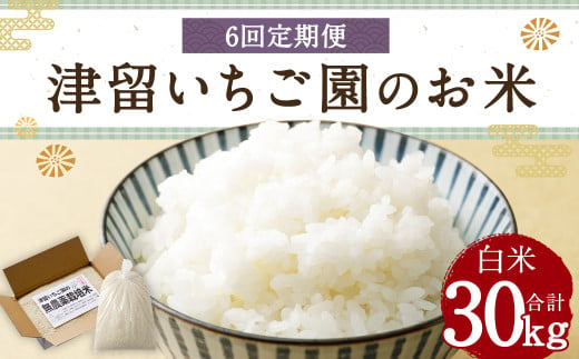 【6回定期便】津留いちご園のお米 白米 農薬・化学肥料不使用（栽培期間中） 約5kg×6回 合計約30kg【2024年11月上旬発送開始】 ご飯 定期便 福岡県産 国産 942129 - 福岡県筑後市