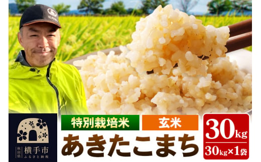 秋田県 横手市 【玄米】令和6年産 特別栽培米 あきたこまち 30kg（30kg×1袋） 1022873 - 秋田県横手市