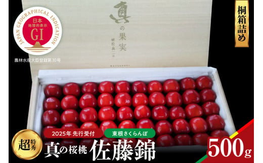 【2025年産　先行予約】真の桜桃 佐藤錦　桐箱詰め500g 山形県 東根市　hi004-hi062-030