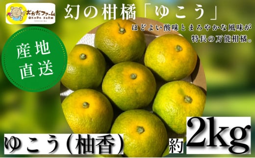 【幻の柑橘】2024年10月中旬順次発送～ ゆこう 2kg 柑橘 徳島 みかん 柚子 すだち 酢 お酢 果汁 お酒 焼き魚 さっぱり オーガニック ふるさと納税 人気 