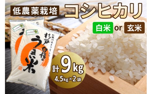 新米 低農薬栽培のコシヒカリ 9kg (4.5kg×2袋)|おいしい お米 コメ こめ ご飯 ごはん 白米 玄米 お取り寄せ 直送 贈り物 贈答品 ふるさと納税 埼玉 杉戸 [0537-0539]