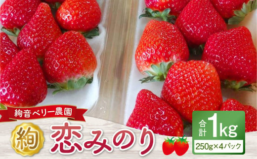 絢音ベリー農園 ”絢” 恋みのり いちご 1kg （250g×4パック） 苺 先行予約 熊本県 高級 フルーツ ギフト 厳選 【2024年12月上旬～2025年1月上旬】