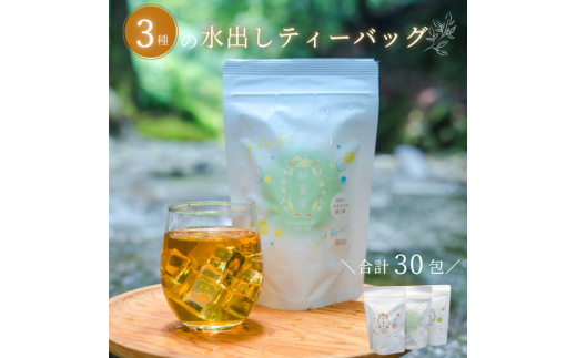 SHINGOOD TEA (シングッドティー) 水出しセット