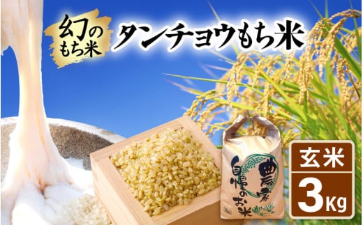 【新米】幻のもち米 タンチョウもち米 3kg（玄米） 令和6年産【お米 米 こめ コメ kome 福井県産 モチ たんちょう おこわ 餅 おもち 常温 年末 赤飯 餅つき】 [e35-a017] 1337863 - 福井県越前町