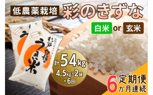 新米 [定期便/6ヶ月] 低農薬栽培の彩のきずな 計54kg (4.5kg×2袋×6ヶ月連続)|おいしい お米 コメ こめ ご飯 ごはん 白米 玄米 お取り寄せ 直送 贈り物 贈答品 ふるさと納税 埼玉 杉戸 [0552-0554]