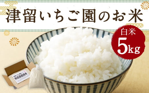 津留いちご園のお米 白米 農薬・化学肥料不使用（栽培期間中） 5kg 【2024年11月上旬から2025年10月下旬発送予定】 米 お米 ご飯 精米 九州 福岡 509740 - 福岡県筑後市