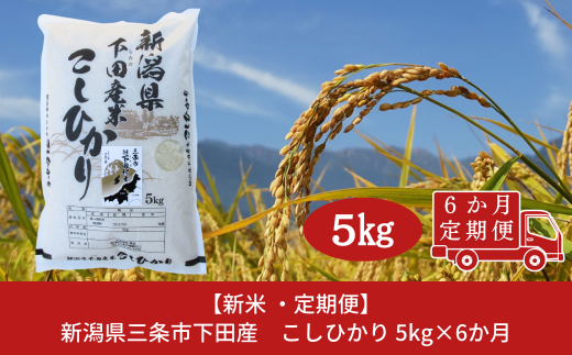 [定期便5kg×6か月] 新潟県産 こしひかり 新潟県 三条市 下田産 コシヒカリ 精米 白米 【060S007】 885185 - 新潟県三条市