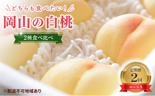 2025年 先行予約】桃 岡山県産 岡山 白桃 2種 食べ比べ プラン 2回 コースA ( 白鳳 ・ 清水白桃 各1.5kg) 《2025年7月上旬-8 月上旬頃出荷》 白桃 岡山 数量限定 期間限定 岡山 里庄町 モモ もも 桃 定期便 - 岡山県里庄町｜ふるさとチョイス - ふるさと納税サイト