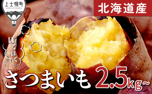 北海道産 さつまいも 計2.5kg ◆2024年11月中旬発送開始予定 ［010-V62］ ※オンライン申請対応 1341990 - 北海道上士幌町