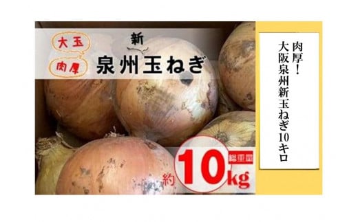 【先行予約】肉厚！大阪泉州新玉ねぎ10kg 828365 - 大阪府貝塚市