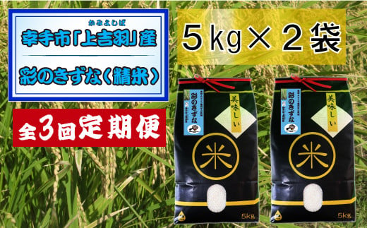 【令和6年産米】食味Aランク継続中の銘柄 彩のきずな 精米10kg【定期便3ヶ月】全3回お届け 1497891 - 埼玉県幸手市