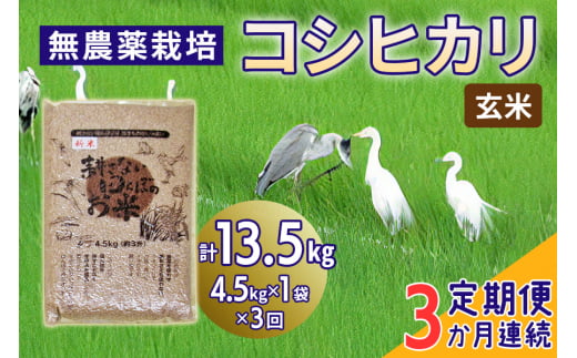 新米 [定期便／3ヶ月] 無農薬栽培 コシヒカリ《玄米》計13.5kg (4.5kg×3ヶ月連続)｜おいしい お米 コメ こめ ご飯 ごはん 白米 玄米 お取り寄せ 直送 贈り物 贈答品 ふるさと納税 埼玉 杉戸 [0566] 1497249 - 埼玉県杉戸町