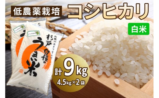 新米 低農薬栽培のコシヒカリ《白米》9kg (4.5kg×2袋)｜おいしい お米 コメ こめ ご飯 ごはん 白米 玄米 お取り寄せ 直送 贈り物 贈答品 ふるさと納税 埼玉 杉戸 [0538] 245975 - 埼玉県杉戸町