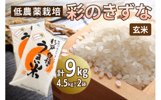 新米 低農薬栽培の彩のきずな《玄米》9kg (4.5kg×2袋)｜おいしい お米 コメ こめ ご飯 ごはん 白米 玄米 お取り寄せ 直送 贈り物 贈答品 ふるさと納税 埼玉 杉戸 [0551] 1497241 - 埼玉県杉戸町