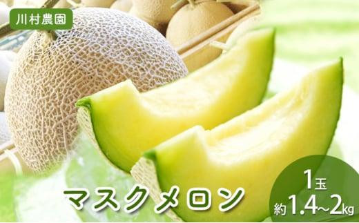 【静岡・三保松原の甘い誘惑マスクメロン】甘さあふれる！マスクメロン 1玉（約1.4kg～2kgサイズ）■