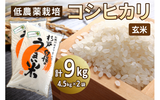 新米 低農薬栽培のコシヒカリ《玄米》9kg (4.5kg×2袋)｜おいしい お米 コメ こめ ご飯 ごはん 白米 玄米 お取り寄せ 直送 贈り物 贈答品 ふるさと納税 埼玉 杉戸 [0539] 1497232 - 埼玉県杉戸町