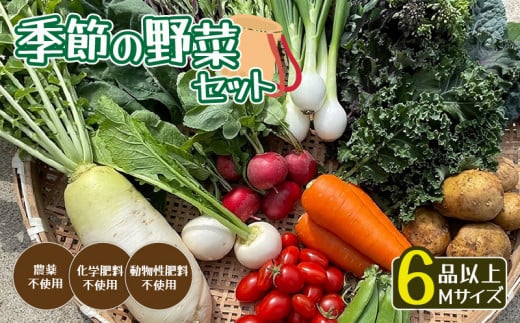 【発送時期限定】 京都府綾部市の季節の野菜セットM（3～4名様分）農薬不使用 無農薬 新鮮 野菜 セット 詰め合わせ 京都 綾部 農家直送 産地直送 旬 旬野菜 野菜セット 人気 おすすめ リピーター 京都 綾部 BBQ バーベキュー 健康 健康食品 緑黄色野菜 美肌 美容 ふるさと納税 ギフト ギフト用 贈答 贈答用 贈答品 贈り物 お中元 お歳暮 サラダ  1142868 - 京都府京都府庁