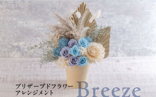 プリザーブドフラワーアレンジメント Breeze 花 ギフト ドライフラワー インテリア アレンジ フラワー【株式会社日比谷花壇】 [AKBO013] 1529690 - 神奈川県横須賀市