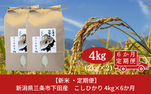 [定期便4kg×6か月] 新潟県産 こしひかり 4kg(2kg×2袋)×6か月 新潟県 三条市 下田産 コシヒカリ 精米 白米 【060S006】 885183 - 新潟県三条市