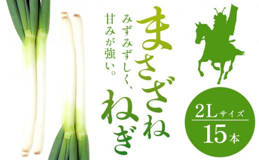 まさざねねぎ 15本 2Lサイズ 七戸宏大《9月中旬-12月上旬頃出荷》岩手県 九戸村 野菜 やさい ねぎ ネギ 葱 武将 送料無料 1545818 - 岩手県九戸村