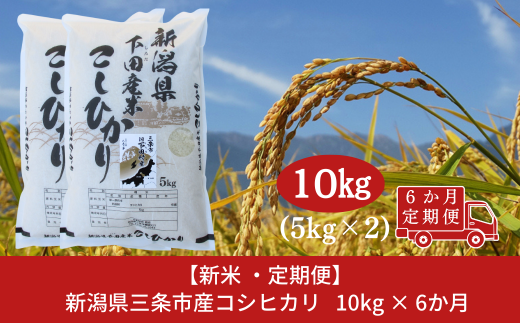 コシヒカリ定期便10kg(5kg×2袋)×6回 新潟県 三条市 下田産 こしひかり 10kg 精米 白米 【120S004】 1343195 - 新潟県三条市