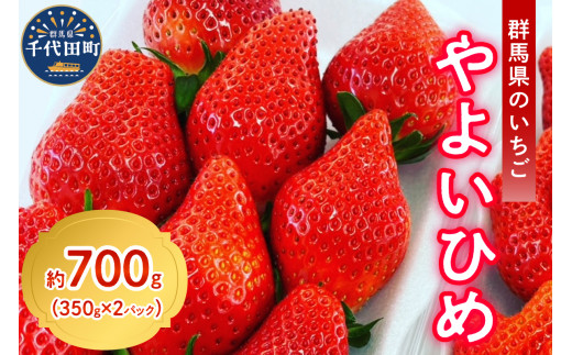 《先行予約》2026年4月発送※ いちご「 やよいひめ 」約350g×2パック 群馬県 千代田町 ＜斉藤いちご園＞