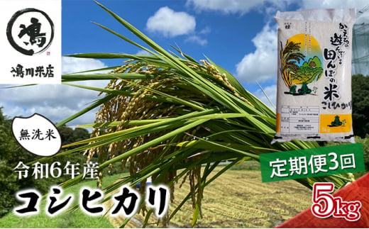 令和6年産　3ヶ月定期便　コシヒカリ　無洗米　5kg　【定期便 お米 白米 粘り甘み】 [№5346-0189] 1272863 - 千葉県千葉市