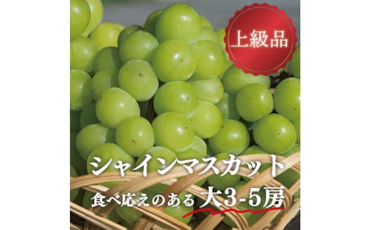 岡山県産 きよとうのこだわりのシャインマスカット 上級品 大3-5房 マスカット ぶどう ブドウ 葡萄 デザート フルーツ 果物 くだもの 果実 食品 TY0-0811 1509308 - 岡山県津山市