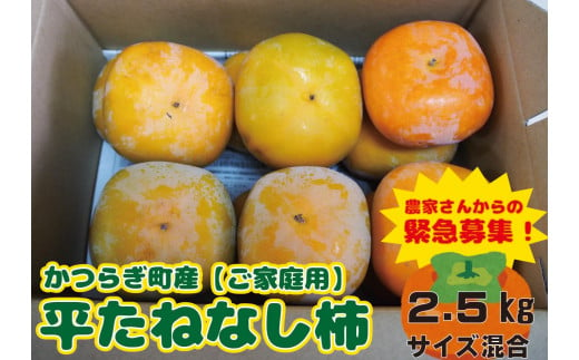 たねなし柿　ご家庭用（傷有り）約2.5kg【2024年10月上旬から2024年11月上旬頃順次発送】 511363 - 和歌山県かつらぎ町