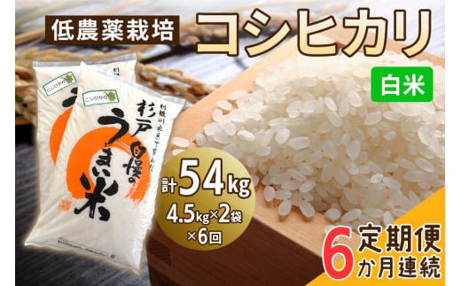 新米 [定期便／6ヶ月] 低農薬栽培のコシヒカリ《白米》計54kg (4.5kg×2袋×6ヶ月連続)｜おいしい お米 コメ こめ ご飯 ごはん 白米 玄米 お取り寄せ 直送 贈り物 贈答品 ふるさと納税 埼玉 杉戸 [0544] 245978 - 埼玉県杉戸町