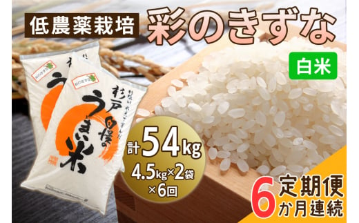 新米 [定期便／6ヶ月] 低農薬栽培の彩のきずな《白米》計54kg (4.5kg×2袋×6ヶ月連続)｜おいしい お米 コメ こめ ご飯 ごはん 白米 玄米 お取り寄せ 直送 贈り物 贈答品 ふるさと納税 埼玉 杉戸 [0553] 245980 - 埼玉県杉戸町