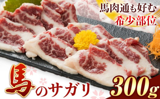 馬のサガリ 300g 桜屋《30日以内に出荷予定(土日祝除く)》 熊本県 山江村 馬刺し 馬肉 肉 サガリ 送料無料 1498270 - 熊本県山江村