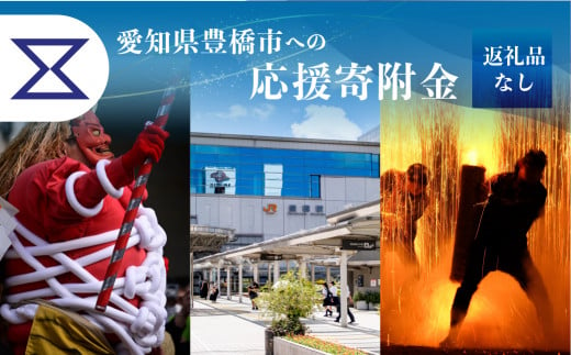 ≪返礼品なし≫ 1,000,000円  愛知県豊橋市への寄附 返礼品無し 寄附のみ 豊橋市  1500957 - 愛知県豊橋市