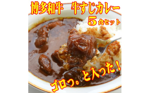 博多和牛　牛すじカレー5食セット　じっくり煮込んだバリうま!ゴロッと入ったコラーゲン♪(大牟田市)【1462615】 1504805 - 福岡県大牟田市