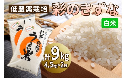 新米 低農薬栽培の彩のきずな《白米》9kg (4.5kg×2袋)｜おいしい お米 コメ こめ ご飯 ごはん 白米 玄米 お取り寄せ 直送 贈り物 贈答品 ふるさと納税 埼玉 杉戸 [0550] 245976 - 埼玉県杉戸町