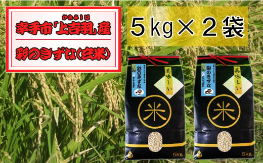 【令和6年産米】食味Aランク継続中の銘柄 彩のきずな 玄米10kg 1497890 - 埼玉県幸手市