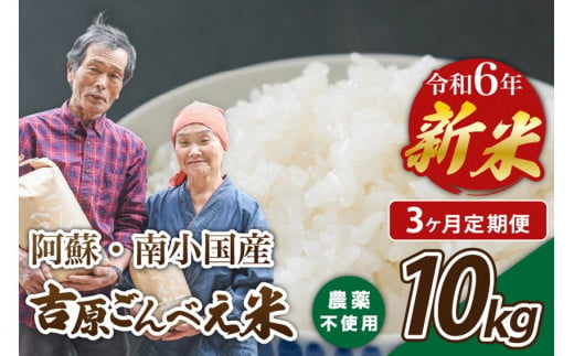 【3ヶ月定期便】令和6年産・新米 ごんべえ米 10kg 3ヶ月 定期便 令和6年産 白米 玄米 食べ比べ 新米 精米 米 お米 玄米対応可能 ご飯 ごはん 無農薬 農薬不使用 産地直送 熊本 南小国 送料無料