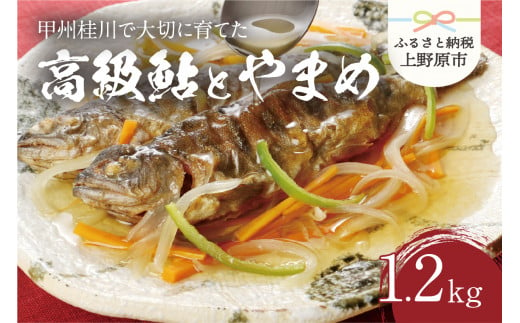 [一級河川(魚)]甲州桂川の高級鮎(約600g)とやまめ(約600g)セット