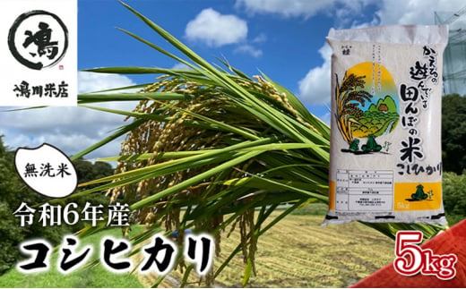 コシヒカリ 乾式無洗米 5kg 令和6年産 [№5346-0383] 1276828 - 千葉県千葉市