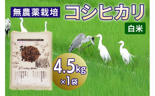 新米 無農薬栽培 コシヒカリ《白米》4.5kg｜おいしい お米 コメ こめ ご飯 ごはん 白米 玄米 お取り寄せ 直送 贈り物 贈答品 ふるさと納税 埼玉 杉戸 [0562] 246502 - 埼玉県杉戸町